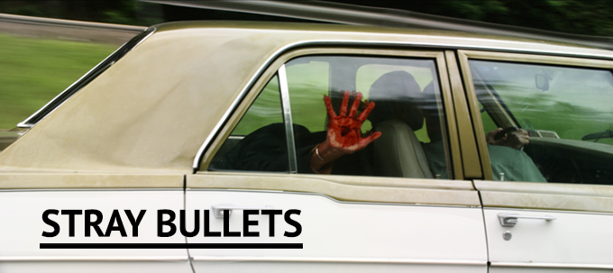 STRAY BULLETS