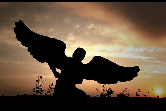 NY-CZ553_MOVIE_G_20140507173322