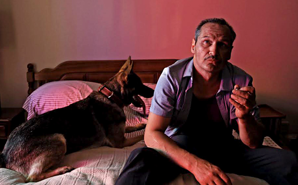 late-phases-nick-damici