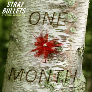 StrayBullets_SocialGraphic_OneMonth